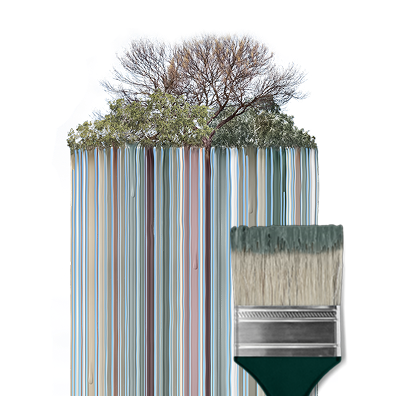 Colour Trends of 2026